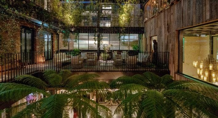 Photo of restaurant Jurema Terrace at The Mandrake in collaboration with Bacardi in Soho, London